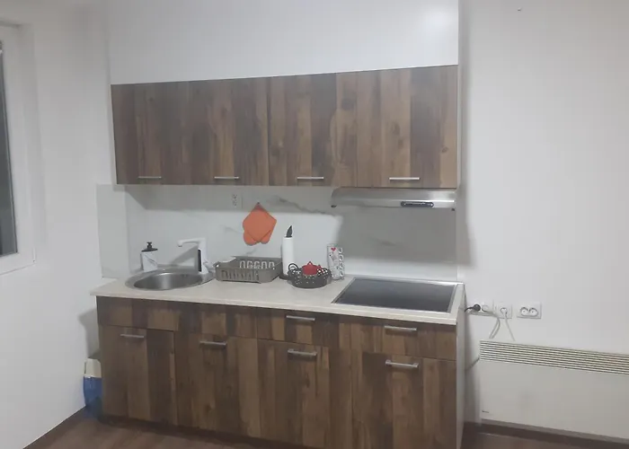 Moskva 아파트 카파오닉